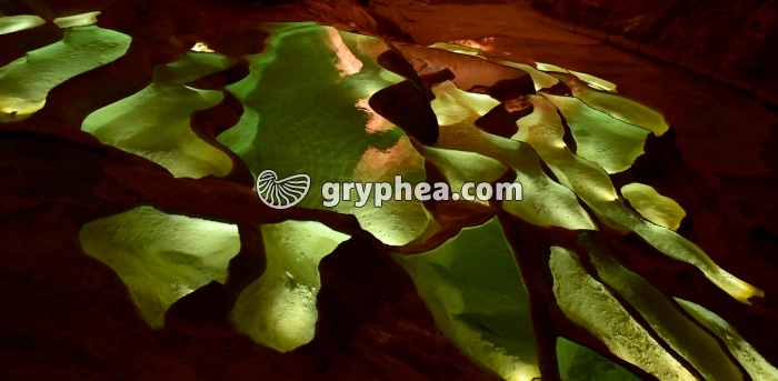 Gours (grotte St Marcel, Ardèche) - gryphea.com